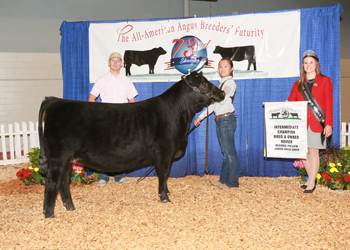 Bred-and-owned Intermediate Champion Heifer
