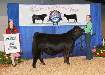 Bred-and-owned Senior Bull Calf Champion