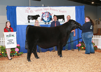 Grand Champion Steer