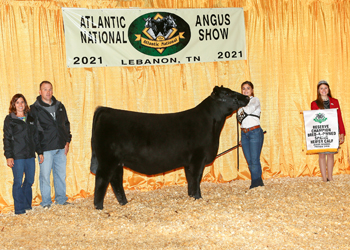 Bred-and-owned Reserve Spring Heifer Calf Champion