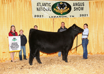 Owned Reserve Early Spring Heifer Calf Champion