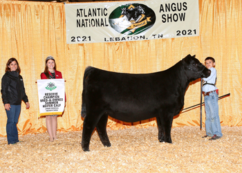 Bred-and-owned Reserve Summer Heifer Calf Champion