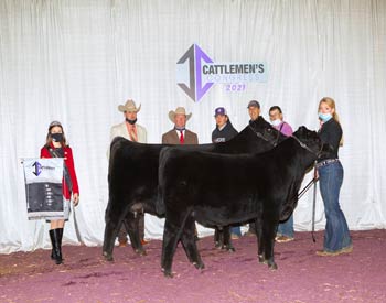 Grand Champion Cow-calf Pair