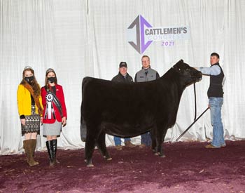 Reserve Junior Champion Heifer - Division 3