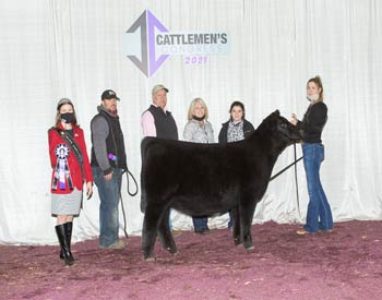 Junior Heifer Calf Champion - Division 1