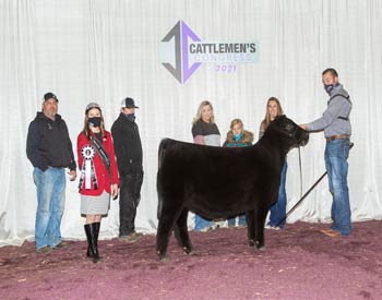 Reserve Junior Heifer Calf Champion - Division 1