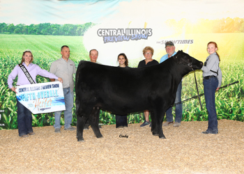 Reserve Senior Champion Female