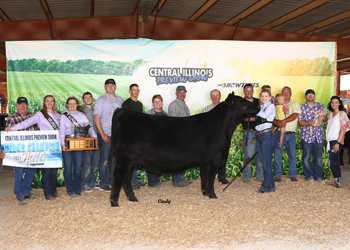 Grand Champion Female