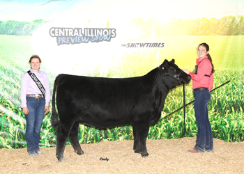 Reserve Early Junior Champion Heifer