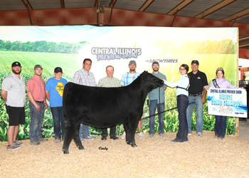 Reserve Grand Champion Female