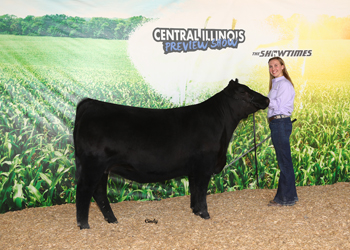 Reserve Late Junior Champion Heifer