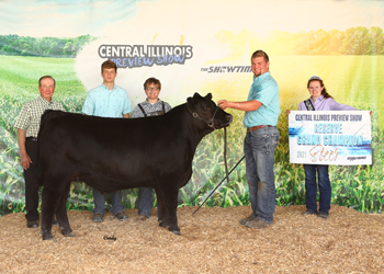 Reserve Grand Champion Steer
