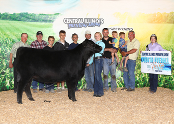 Intermediate Champion Heifer