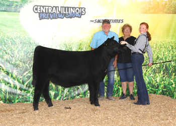 Senior Heifer Calf Champion