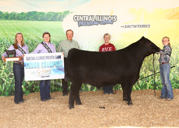 Grand Champion Steer