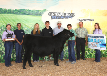 Grand Champion Bull