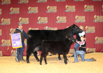 Grand Champion Cow-calf Pair