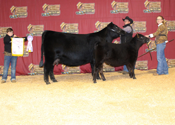 Reserve Senior Champion Female