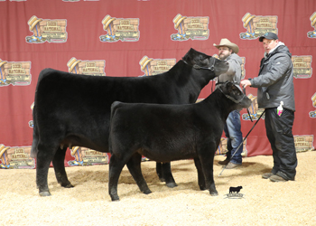 Senior Champion Female