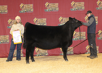 Reserve Senior Heifer Calf Champion