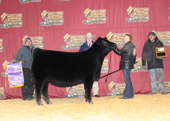 Grand Champion Female