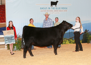 Reserve Grand Champion Bred-and-owned Female