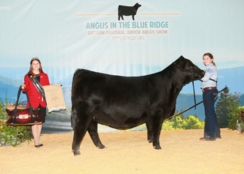 Owned Senior Champion Female