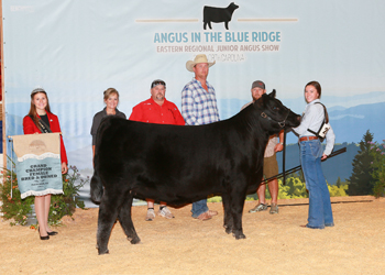 Grand Champion Bred-and-owned Female