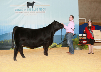 Owned Early Junior Champion Heifer