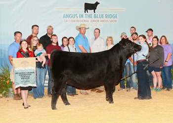 Reserve Grand Champion Owned Female