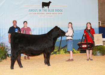 Owned Intermediate Champion Heifer