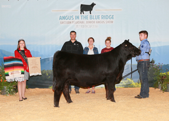 Bred-and-owned Reserve Junior Champion Heifer