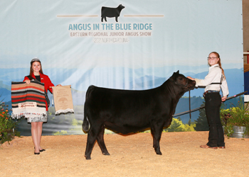 Bred-and-owned Reserve Senior Heifer Calf Champion