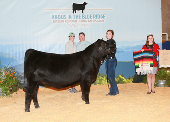 Bred-and-owned Reserve Intermediate Champion Heifer