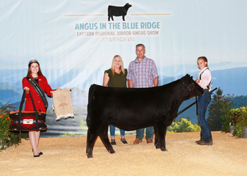 Owned Late Heifer Calf Champion