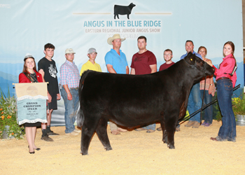 Grand Champion Steer
