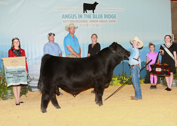 Reserve Grand Champion Bred-and-owned Bull