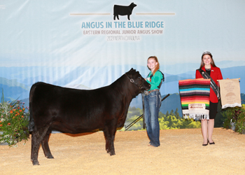 Owned Reserve Late Heifer Calf Champion