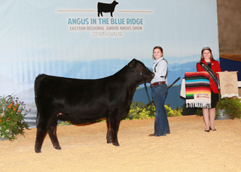 Owned Reserve Early Heifer Calf Champion
