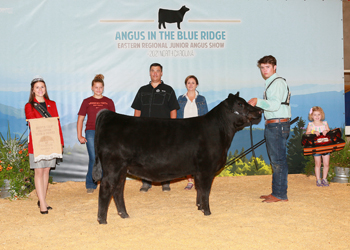 Bred-and-owned Senior Heifer Calf Champion