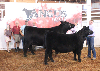 Grand Champion Bred-and-owned Cow-calf Pair