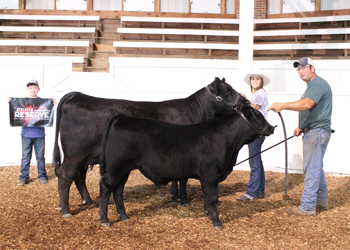 Reserve Grand Champion Owned Cow-calf Pair