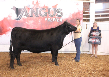 Owned Senior Champion Female