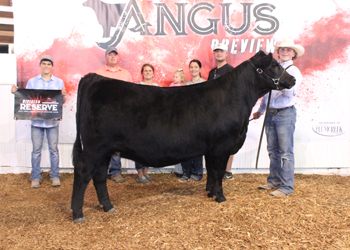 Owned Reserve Intermediate Champion Heifer
