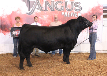 Reserve Grand Champion Bred-and-owned Bull