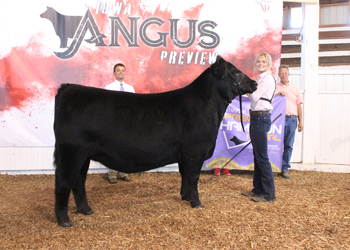 Grand Champion Owned Female