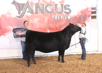 Owned Intermediate Champion Heifer