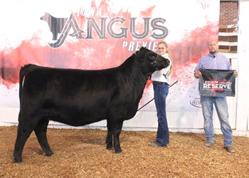 Owned Reserve Early Junior Champion Heifer