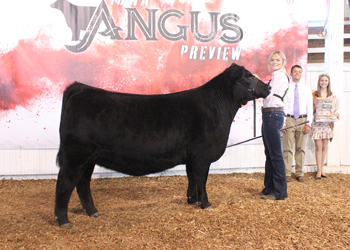 Reserve Grand Champion Owned Female