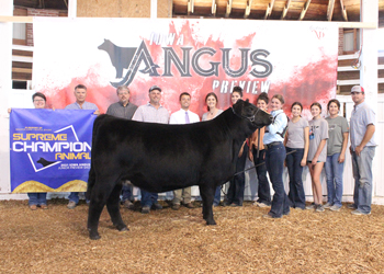 Grand Champion Bred-and-owned Female